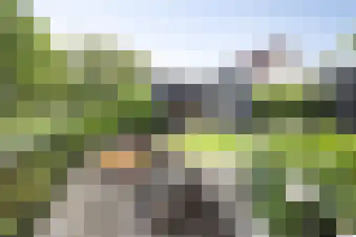 Marimba 36 Kampen thumbnail 33