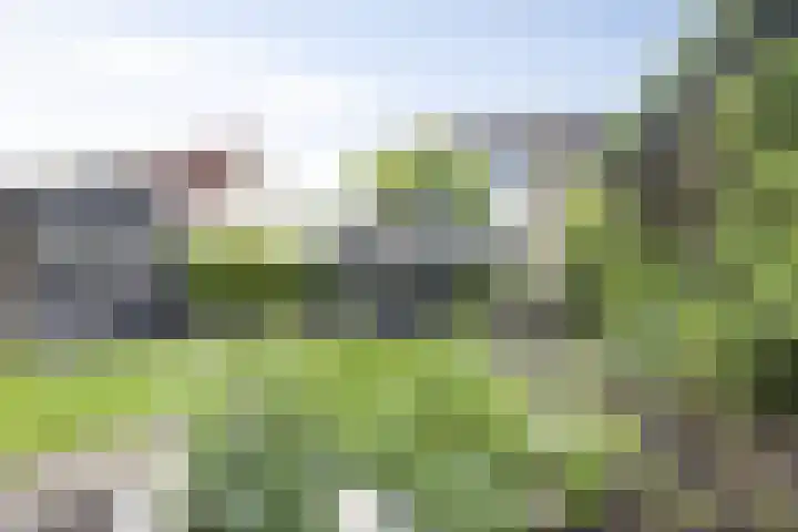 Marimba 36 Kampen thumbnail 34