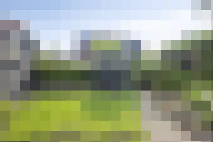 Marimba 36 Kampen thumbnail 35