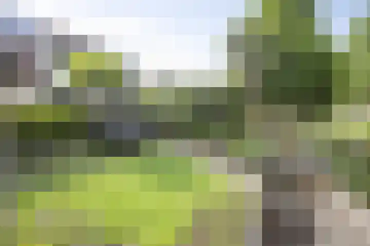 Marimba 36 Kampen thumbnail 36