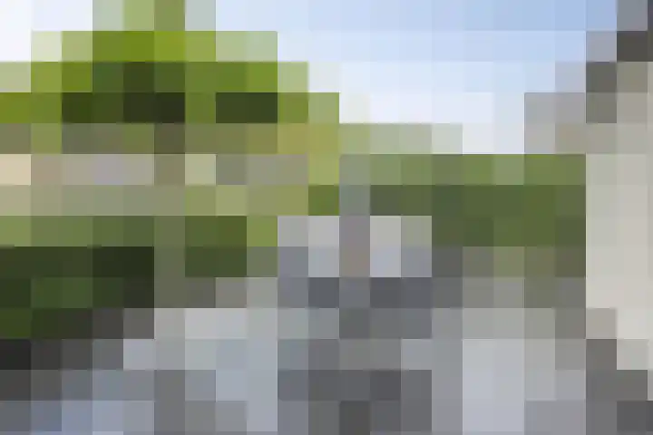 Marimba 36 Kampen thumbnail 38