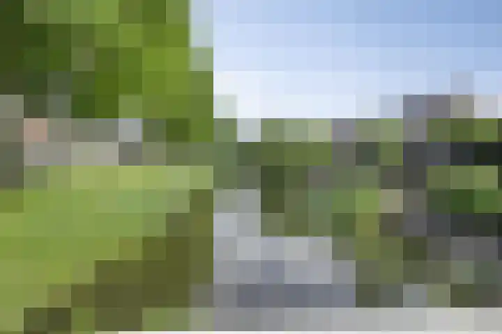 Marimba 36 Kampen thumbnail 39