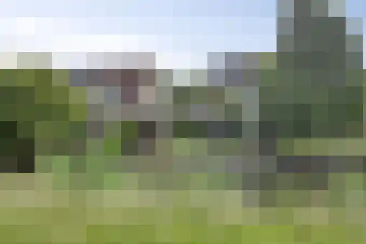 Marimba 36 Kampen thumbnail 40