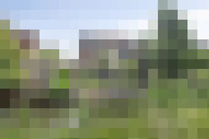 Marimba 36 Kampen thumbnail 41