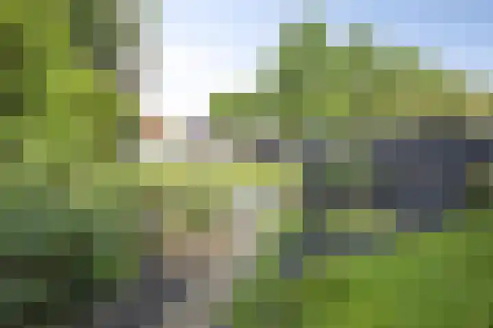 Marimba 36 Kampen thumbnail 42