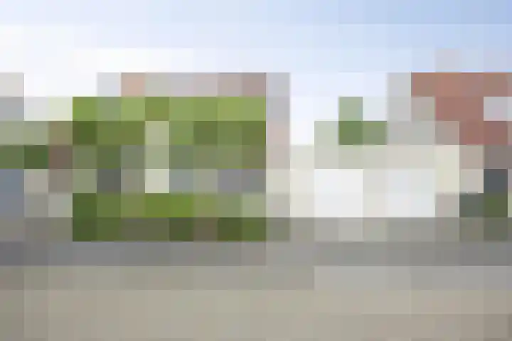 Marimba 36 Kampen thumbnail 43