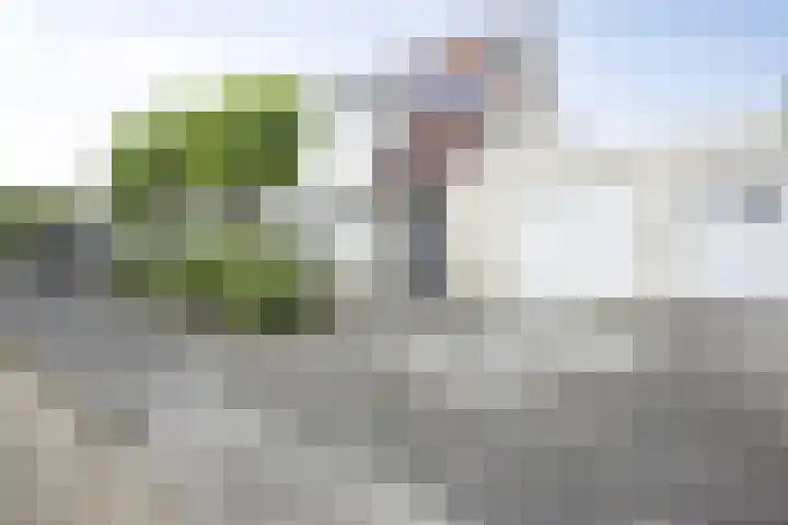 Marimba 36 Kampen thumbnail 44