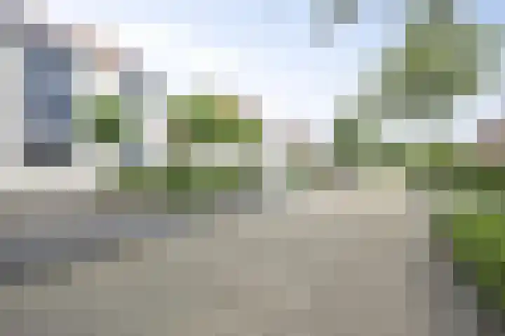 Marimba 36 Kampen thumbnail 46