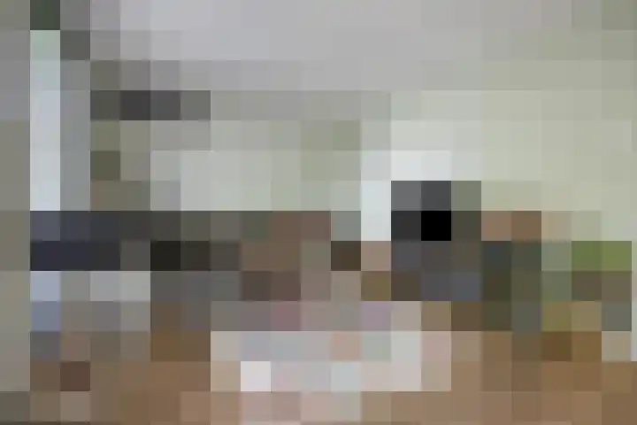 Marimba 36 Kampen thumbnail 7