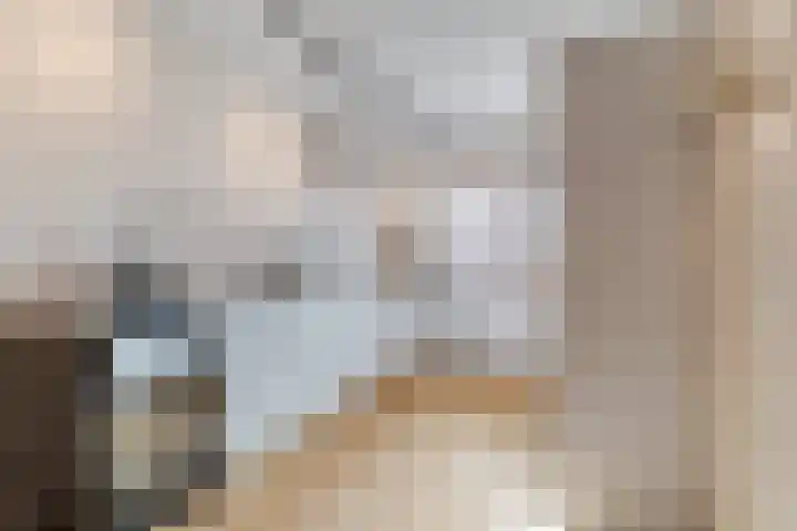 Marimbahof 21 Eindhoven thumbnail 12