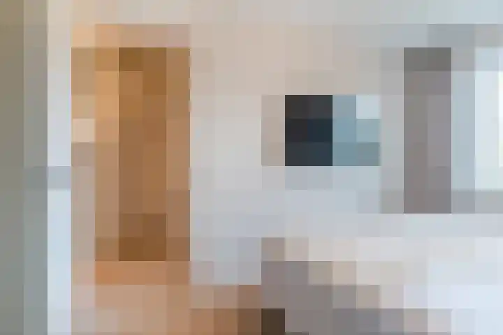 Marimbahof 21 Eindhoven thumbnail 20