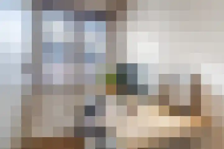 Marimbahof 21 Eindhoven thumbnail 24