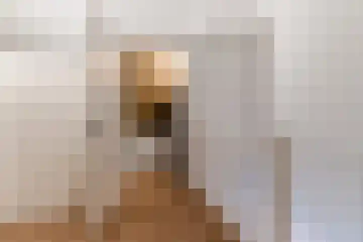 Marimbahof 21 Eindhoven thumbnail 43