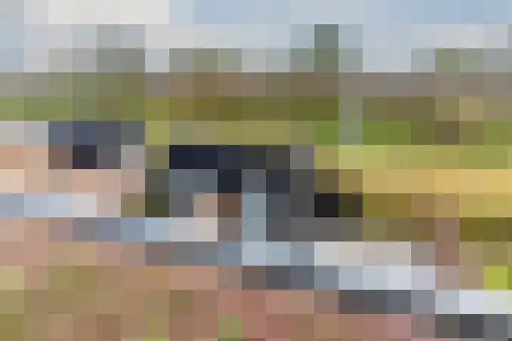 Marimbahof 21 Eindhoven thumbnail 44