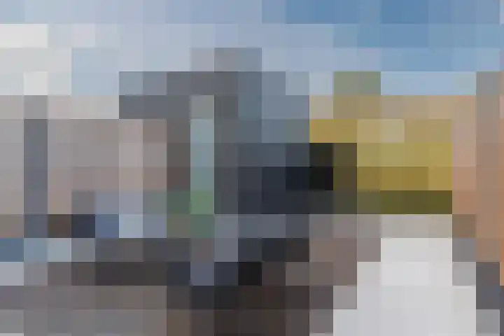 Marimbahof 21 Eindhoven thumbnail 46