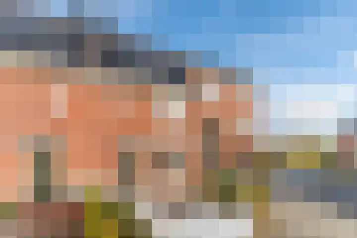 Marimbahof 21 Eindhoven thumbnail 53