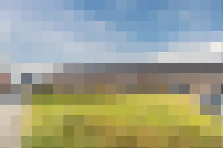 Marimbahof 21 Eindhoven thumbnail 57
