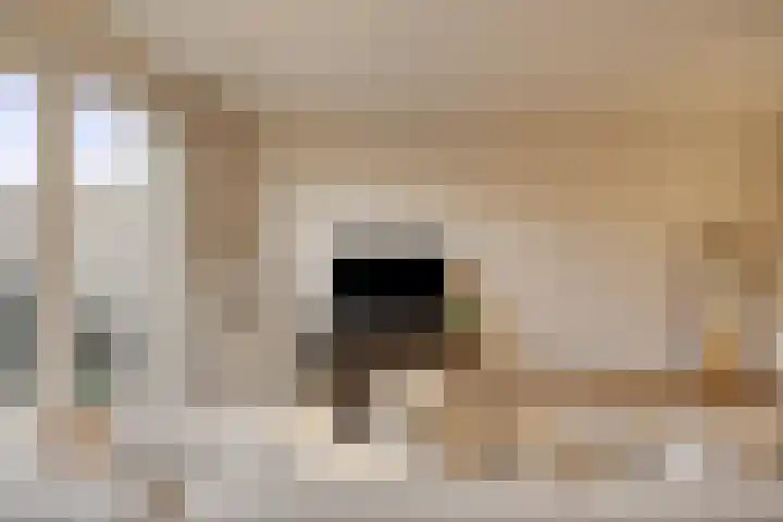 Marimbahof 28 Eindhoven thumbnail 15