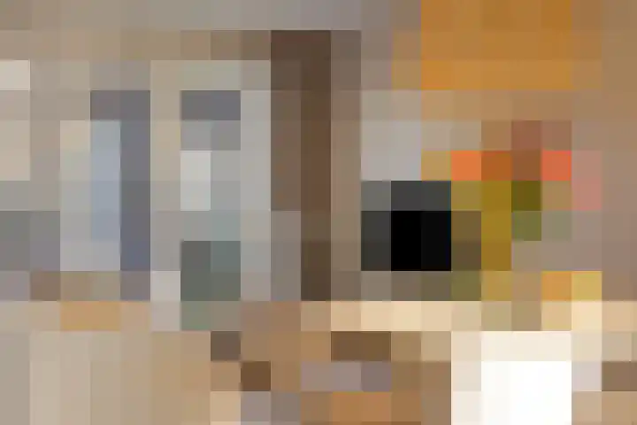 Marimbahof 28 Eindhoven thumbnail 22