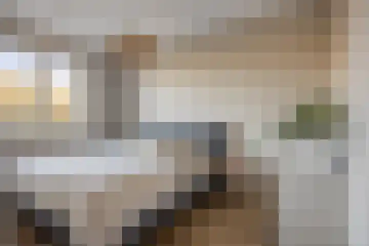 Marimbahof 28 Eindhoven thumbnail 27
