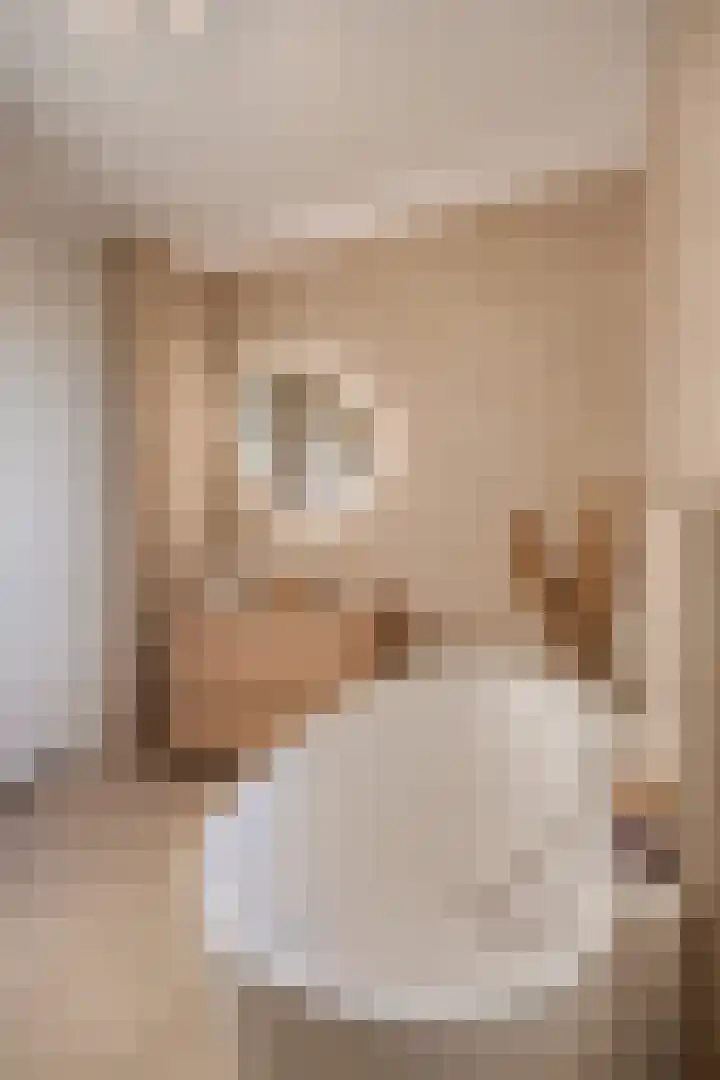 Marimbahof 28 Eindhoven thumbnail 33