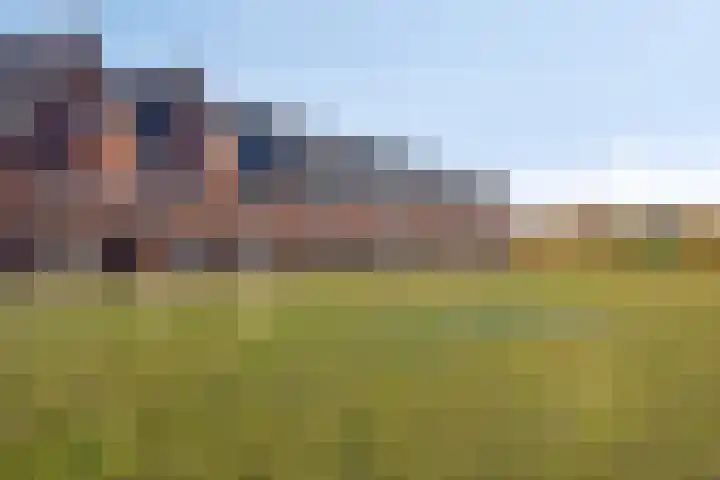 Marimbahof 28 Eindhoven thumbnail 42