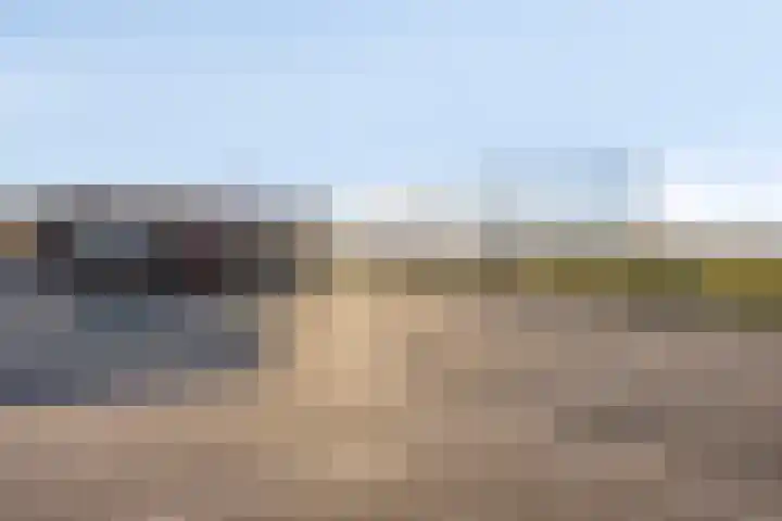 Marimbahof 28 Eindhoven thumbnail 43