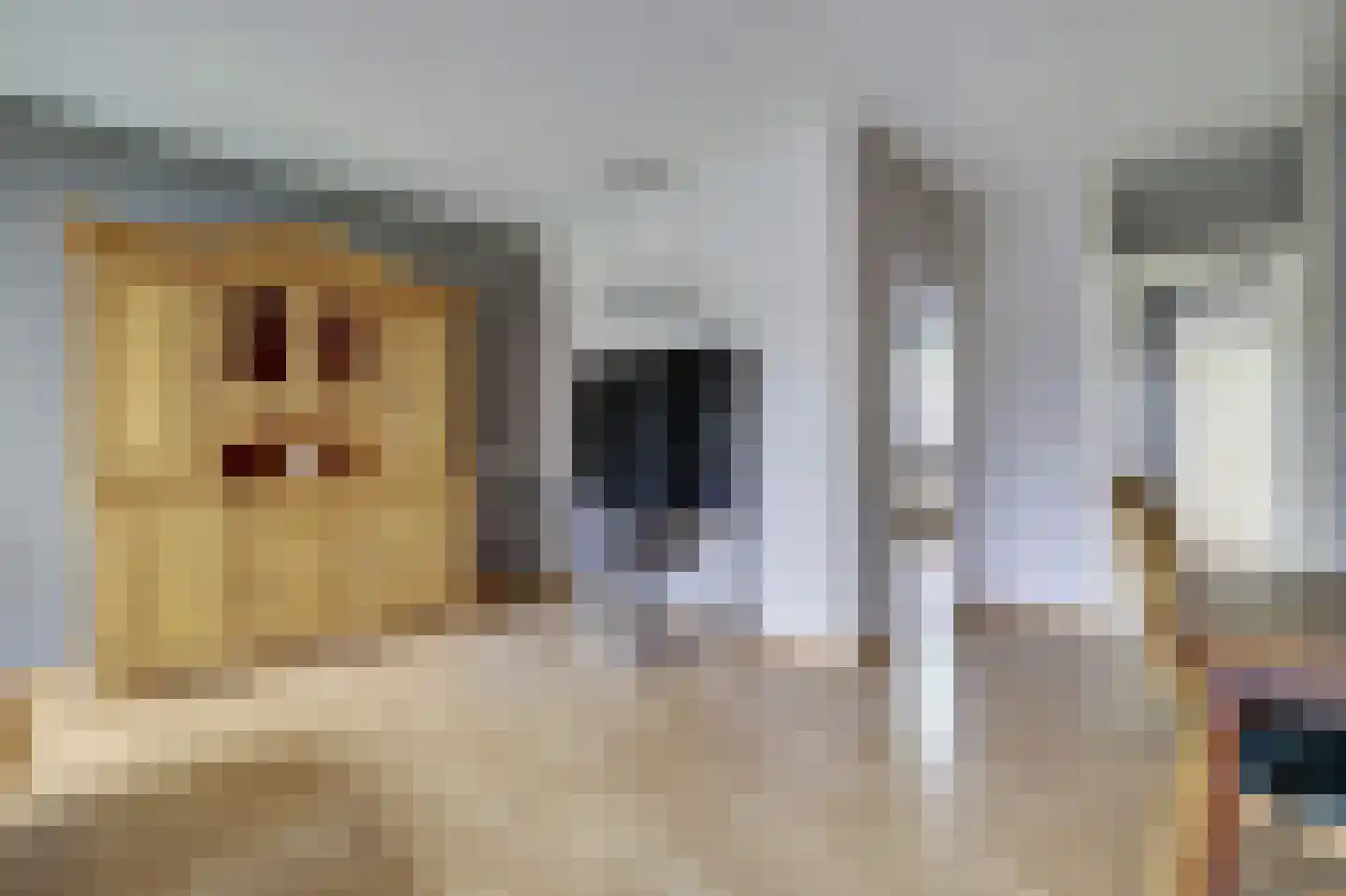 Marimbastraat 25 Venray thumbnail 10