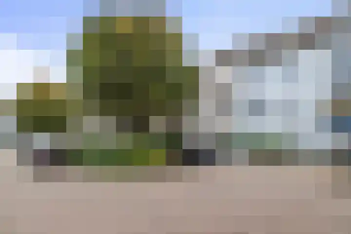 Marina-Park 168 Den Helder foto 2