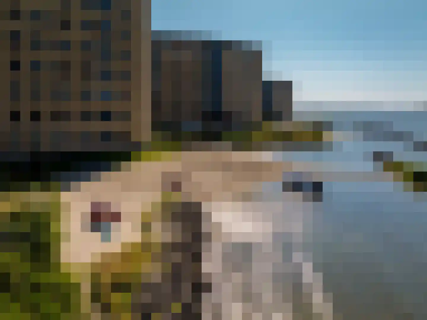 Marinaweg 133 Almere thumbnail 42