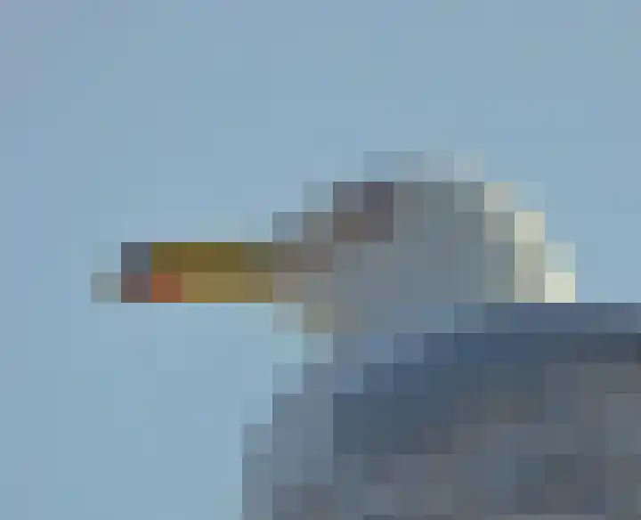 Marinaweg 33 Almere thumbnail 33