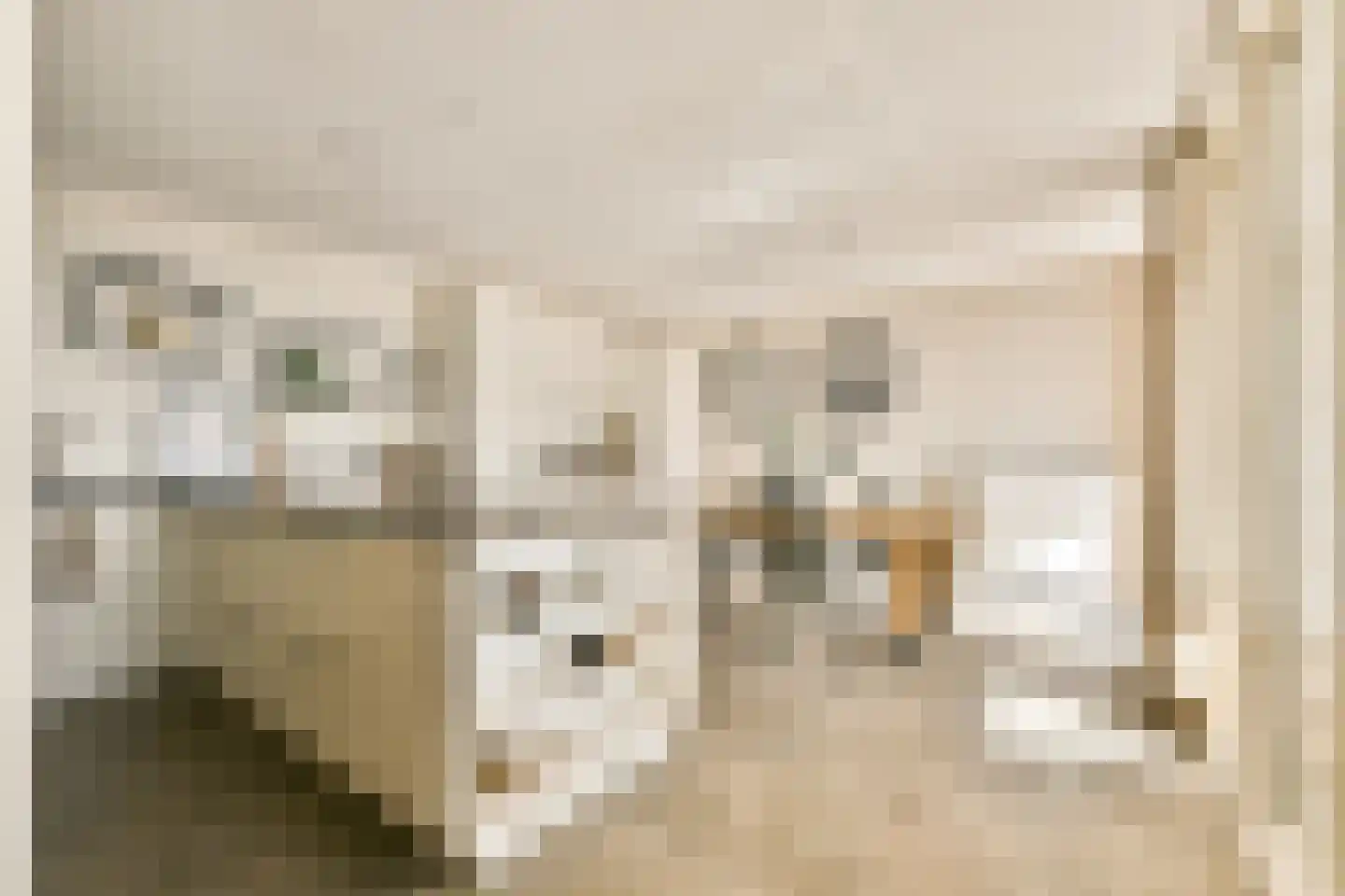Marinaweg 85 Almere thumbnail 12