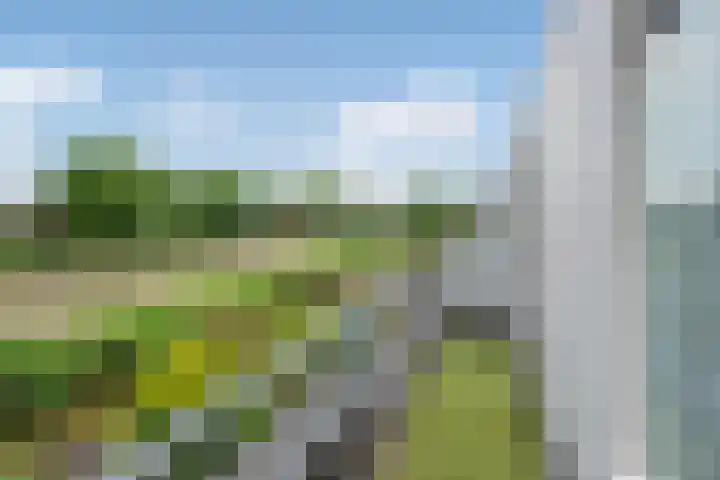 Marineblauw 115 Zoetermeer thumbnail 28