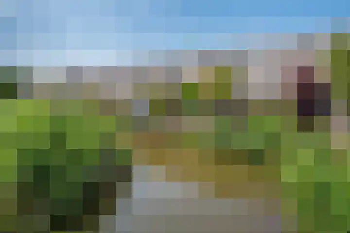 Marineblauw 115 Zoetermeer thumbnail 33