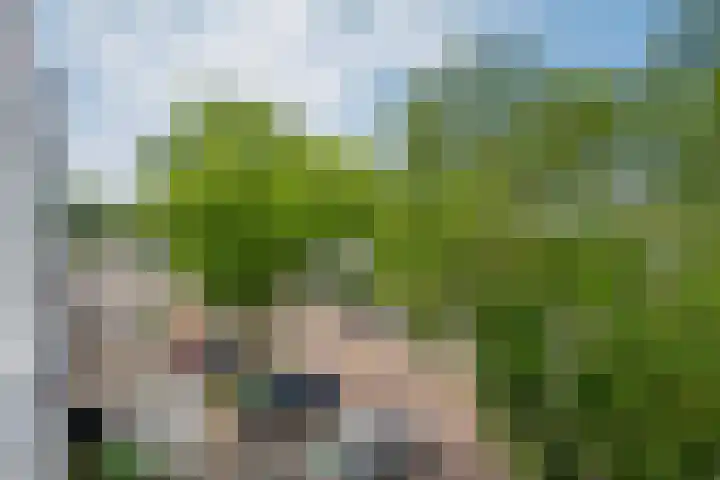 Marineblauw 115 Zoetermeer thumbnail 34