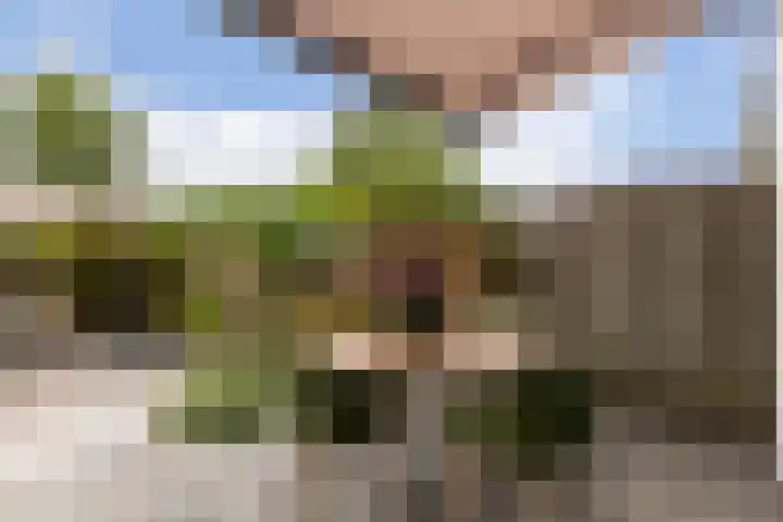 Marineblauw 121 Zoetermeer thumbnail 17