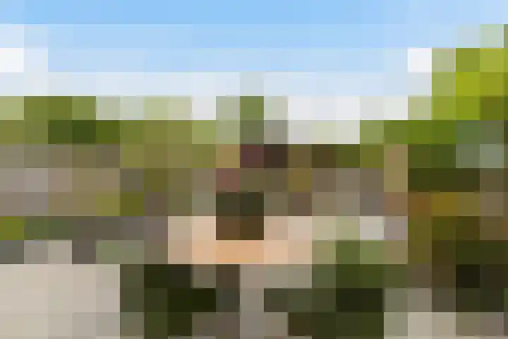 Marineblauw 121 Zoetermeer thumbnail 18