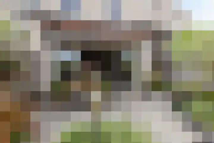 Marineblauw 121 Zoetermeer thumbnail 22