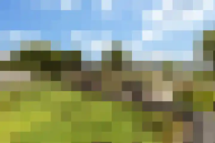 Marineblauw 121 Zoetermeer thumbnail 41