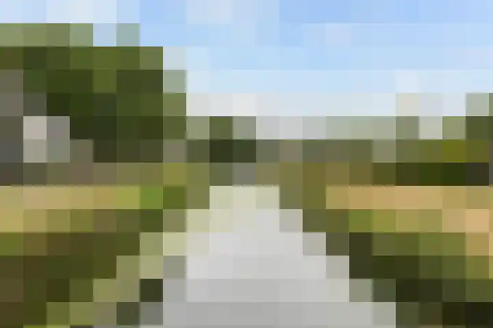 Marineblauw 121 Zoetermeer thumbnail 47