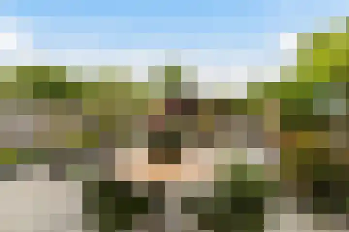 Marineblauw 121 Zoetermeer thumbnail 5