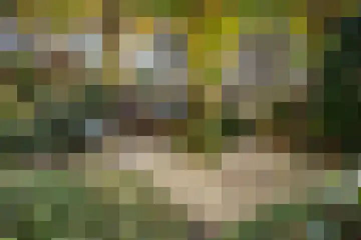 Marineblauw 155 Zoetermeer thumbnail 16