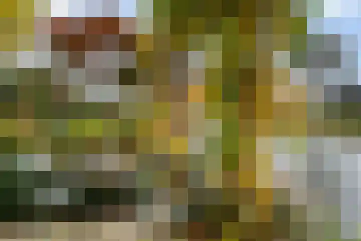 Marineblauw 155 Zoetermeer thumbnail 17