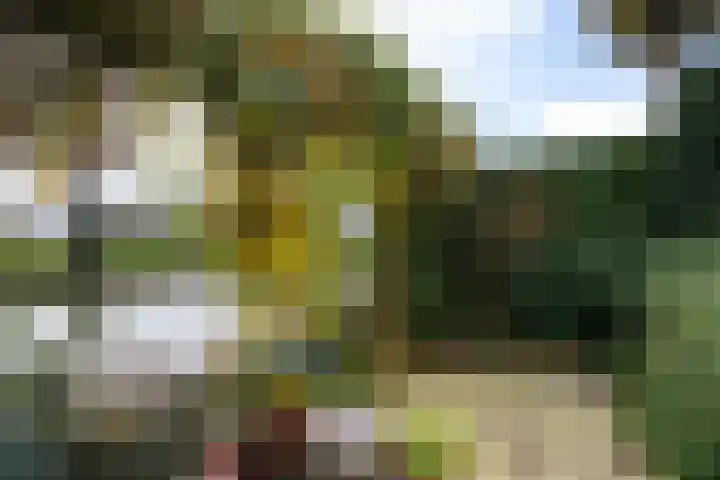Marineblauw 155 Zoetermeer thumbnail 18