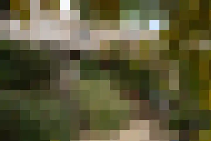 Marineblauw 155 Zoetermeer thumbnail 19