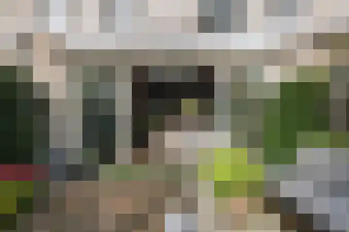 Marineblauw 155 Zoetermeer thumbnail 21