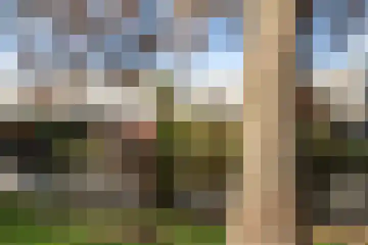 Marineblauw 155 Zoetermeer thumbnail 4