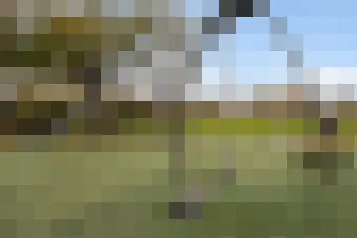 Marineblauw 155 Zoetermeer thumbnail 50