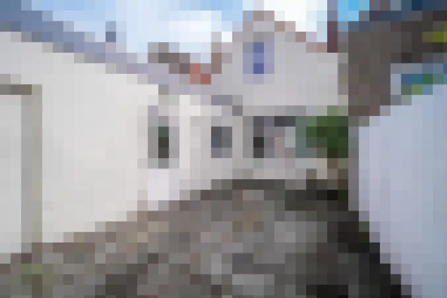 Marinestraat 13 Vlissingen thumbnail 18