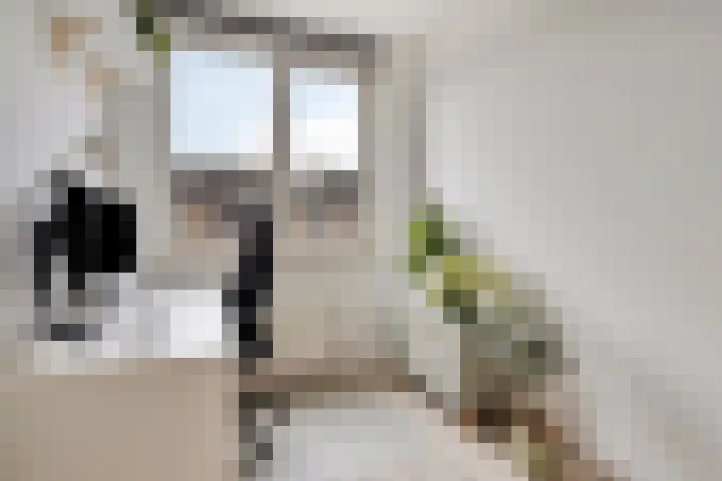 Mariniersstraat 12 's-Hertogenbosch thumbnail 20